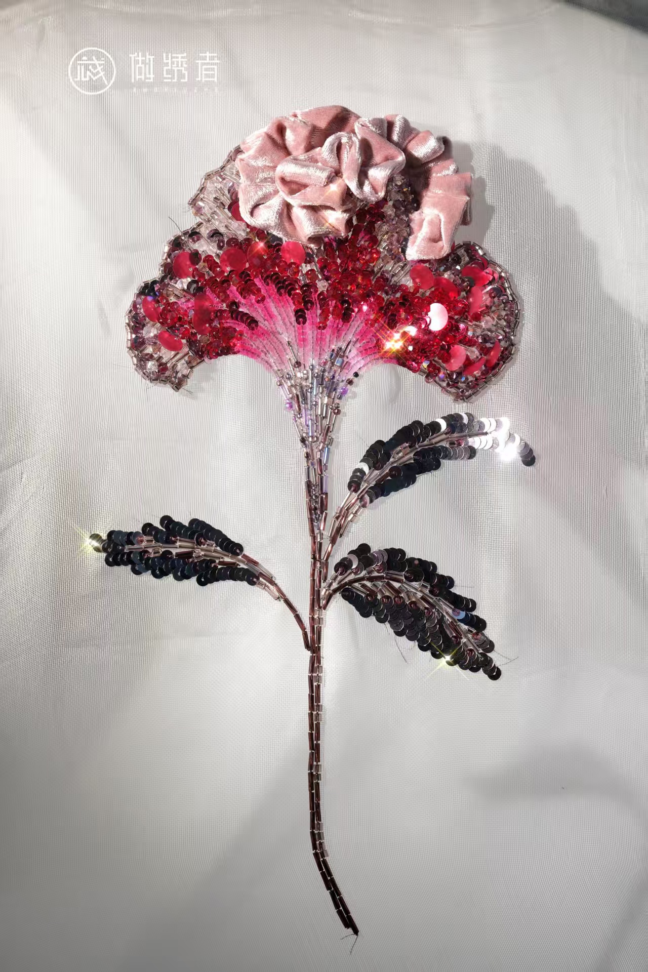 鸡冠花 第1张图