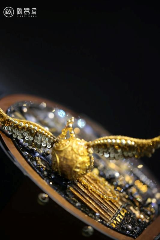 金色飞贼 第3张图