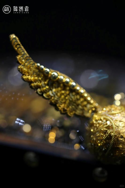 金色飞贼 第4张图