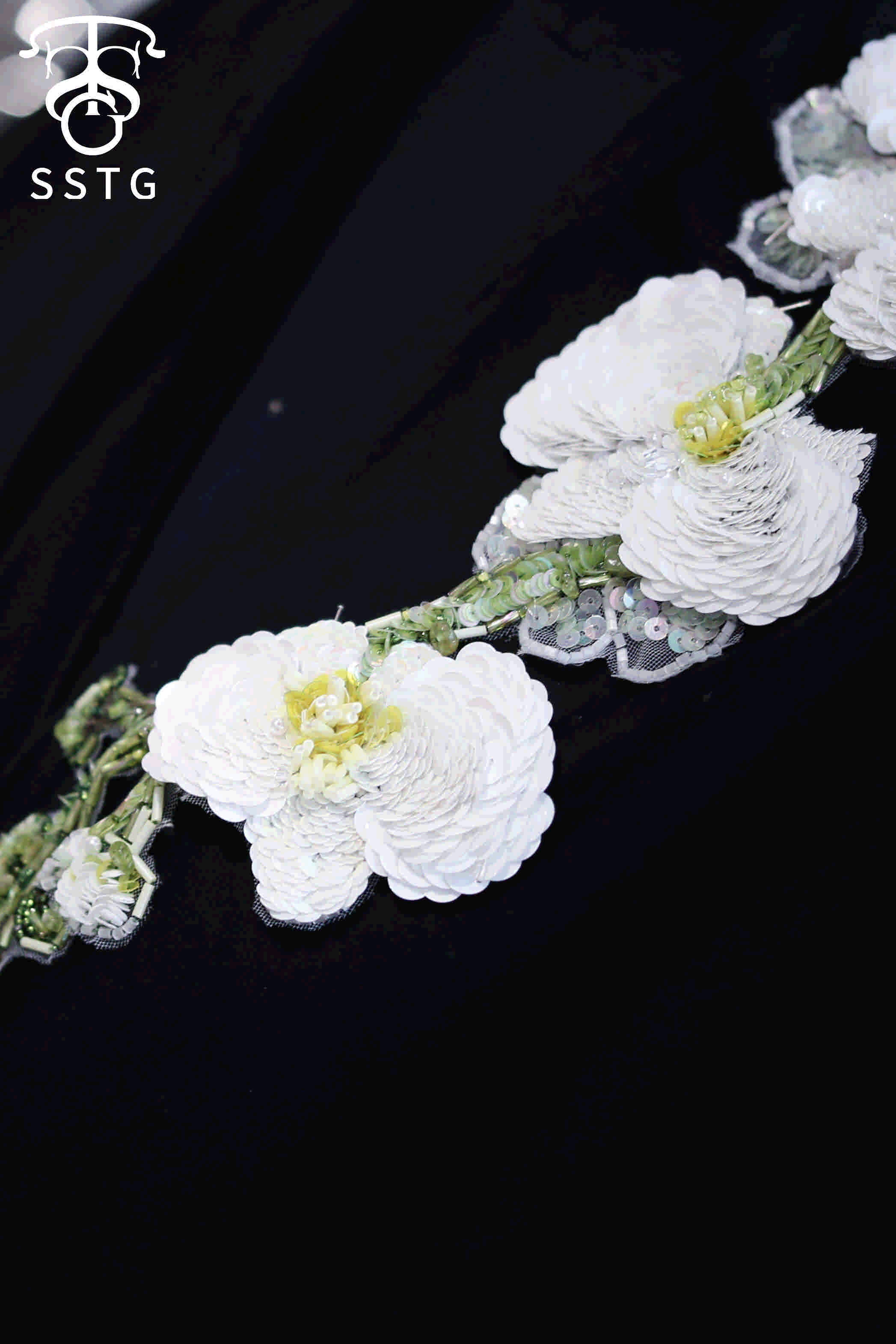 白绿蝴蝶兰 第2张图