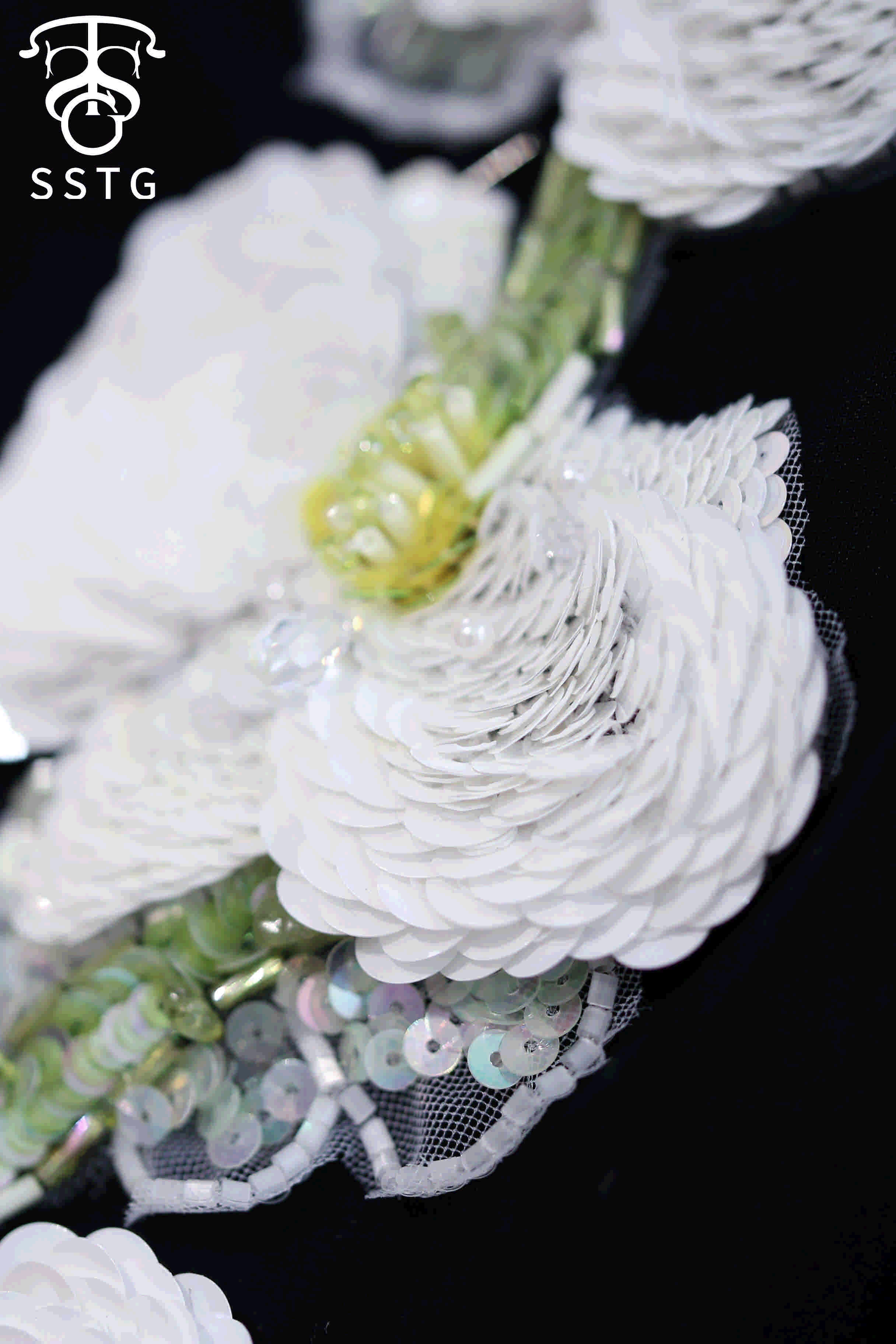 白绿蝴蝶兰 第3张图