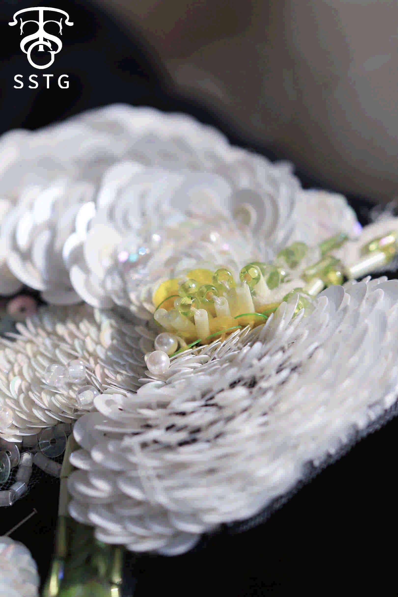 白绿蝴蝶兰 第4张图